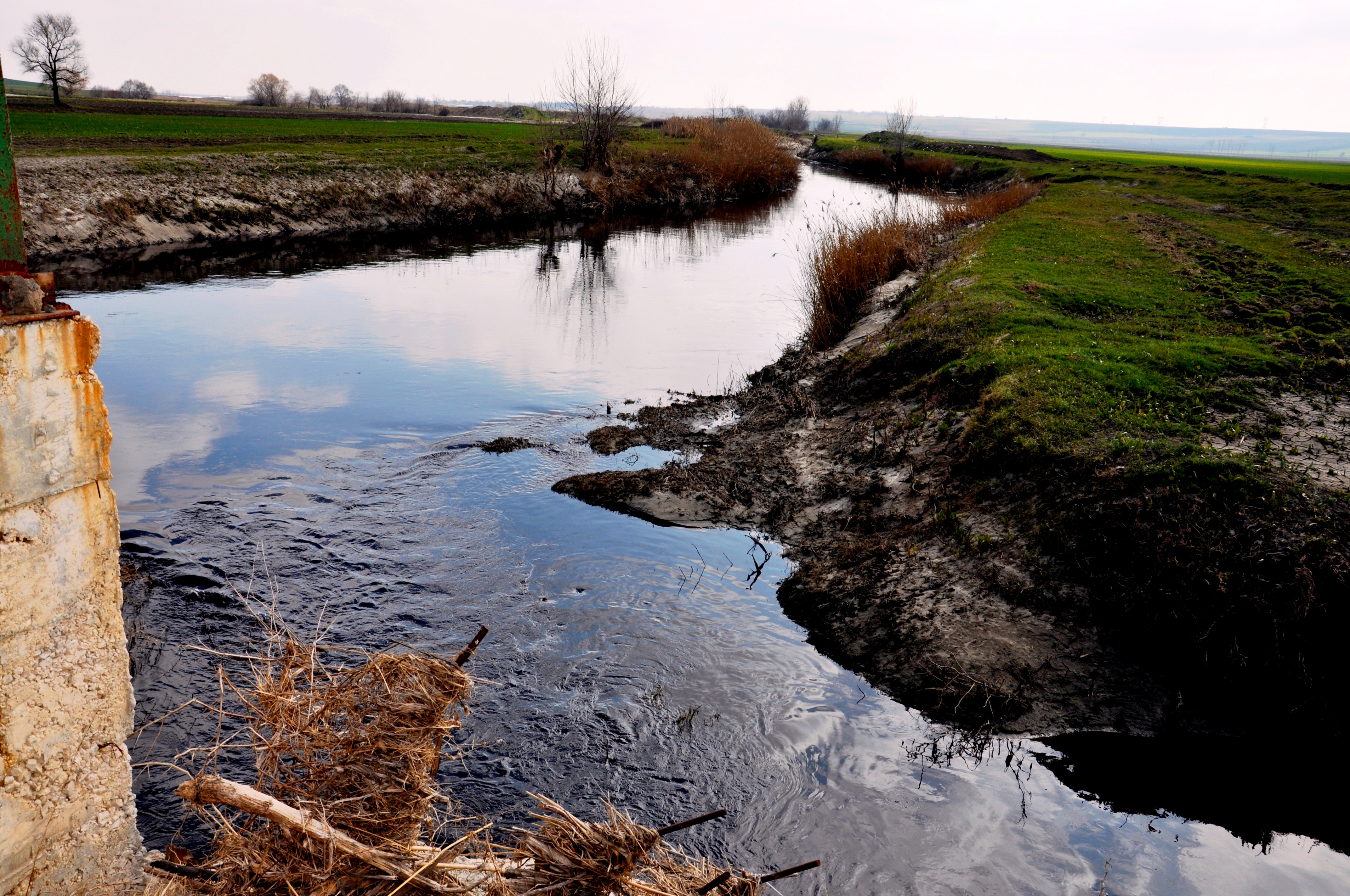 Photo of a the polluted Ergene River. Copyright Hakan Dedeoğlu.