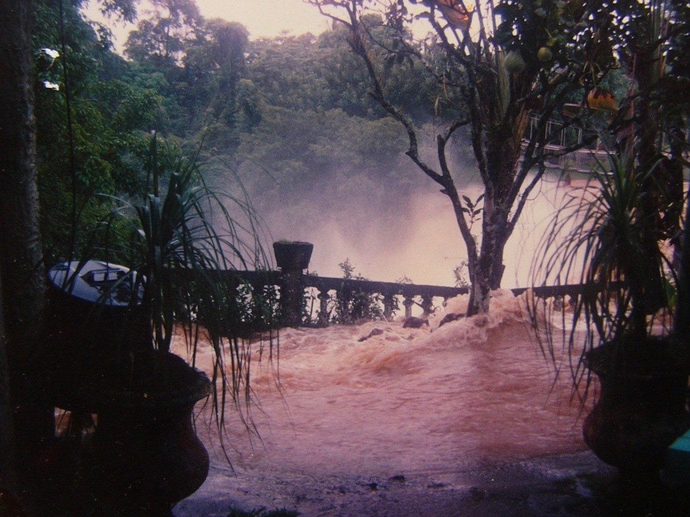 Photograph of yet another flood at Paronella Park. © Paronella Park Photograph Collection.