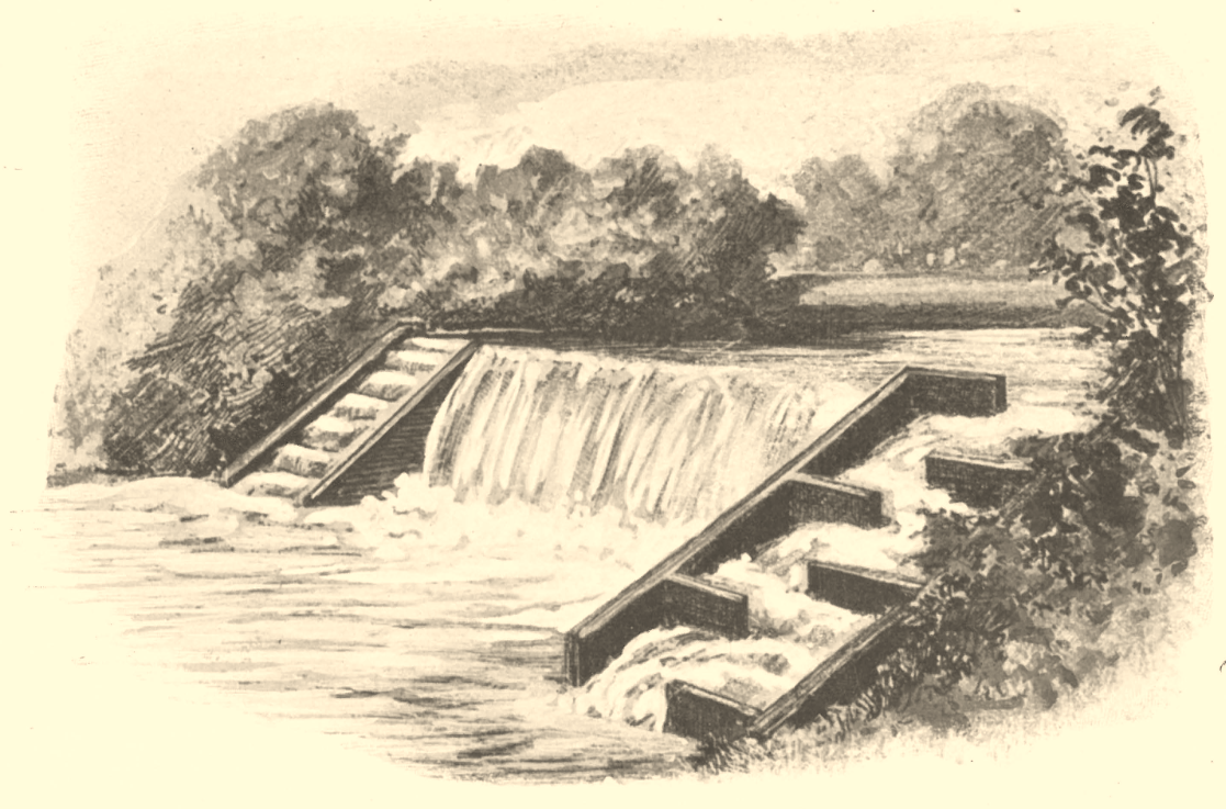 Illustration of fish ladders.