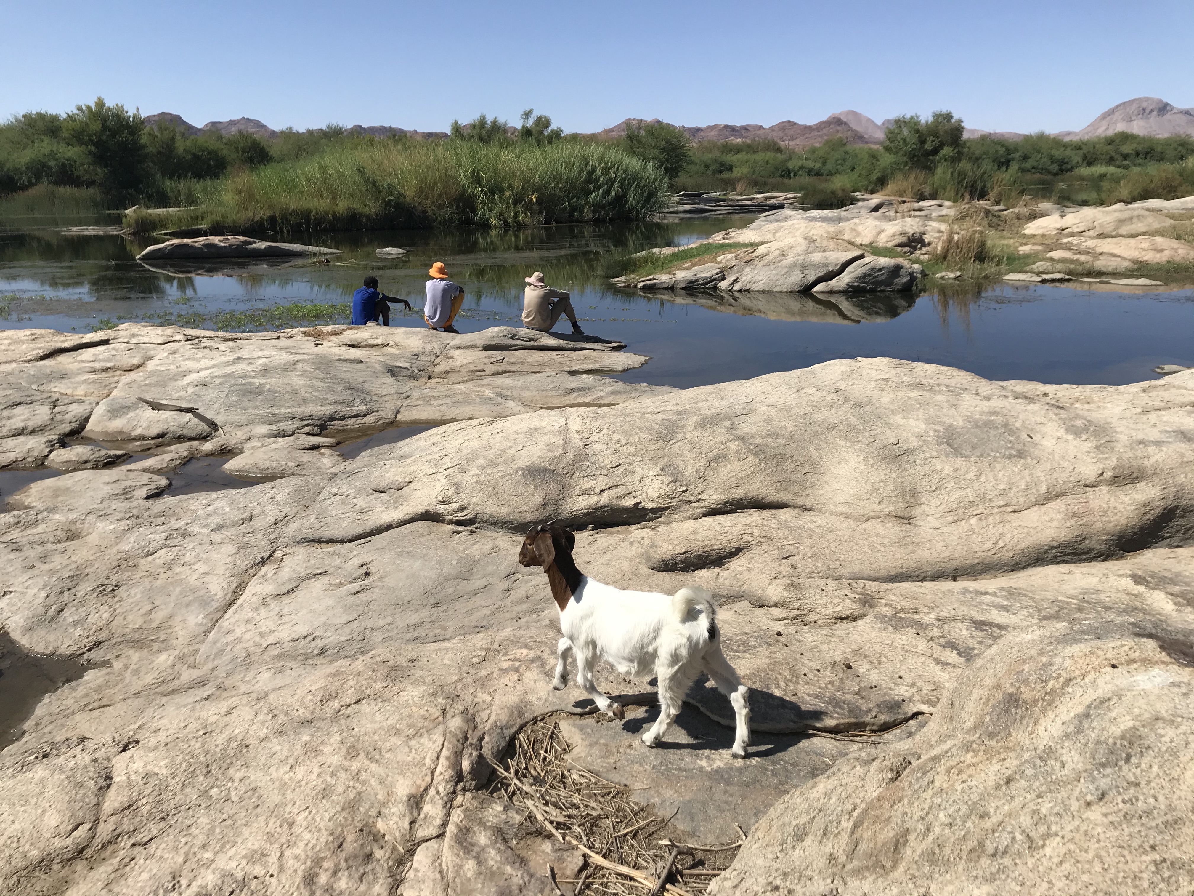 Photo of people and a goat next to a river.