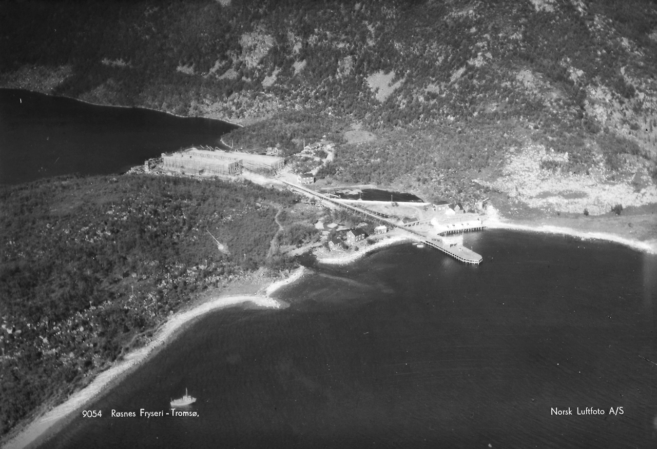 Aerial photograph of the natural ice factory in Røsneshamn. Photograph by Fjellanger Widerøe, c. 1936. CC BY-NC-ND 2.0.